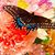Karen Cooke-Gigliotti's profile image