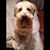 Kristin Guarino-Cook's profile image