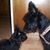 Barb Vinciguerra's profile image