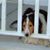 Gary Rowbotham's profile image