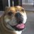 Frank C. Guariglia's profile image