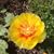 Mary Lamsback's profile image