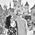 Liz Schettino's profile image
