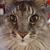 Nancy Chute's profile image