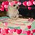 Dona Gerstein's profile image