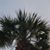 Mary Dunham Faulstich's profile image