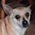 Michael B Doran's profile image