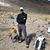 Tim Van Riper's profile image