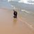Elizabeth N Steve Hansen's profile image