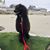 Janette Martin's profile image