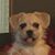 Paula Frederick Hanson's profile image