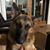 Rick Gudgel's profile image