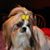 Theresa Shiflett's profile image