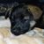 Ann Chambliss's profile image