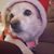 Roma Mendro Rodgers's profile image