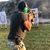 Patrick Dias's profile image