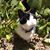 Jill Novelle's profile image