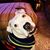Mike Brach's profile image