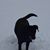 Patricia Crowley Carlson's profile image