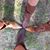 Kristin Jaastad Diercks's profile image