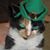 Val Rush's profile image