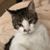 Cindy Patterson's profile image