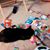 Wendy DeFord's profile image