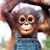 Sergio Naranjo Borgfeldt's profile image