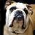 RichardTaffy Nichols's profile image