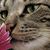 Ria Rizoto's profile image