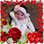 Blanca Rodas's profile image