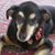 Kim Griffin Caffrey's profile image