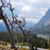 Lisa Freese's profile image