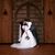 Jennifer Nicole Grammer's profile image