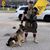 David Shaffer's profile image