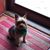 Barbara Sigler's profile image
