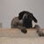 Stacey Skoff's profile image