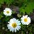 Kim Christopherson Kitzke's profile image
