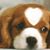 Sonya Navrotsky's profile image