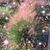 Anita Torres-Shultz's profile image