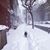 Lucy Tauber Brysk's profile image