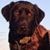 Walt Paulson's profile image