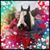 Swanette Timmer's profile image