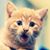 Elizabeth J Dunn's profile image