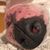 Jennifer Bednez's profile image
