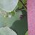 Fern Gratia's profile image