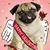 Janine Hammond Ruffo's profile image
