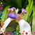 Pamela Nola's profile image