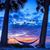 Tricia Stock Reeves's profile image