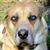 Mark Reineke's profile image